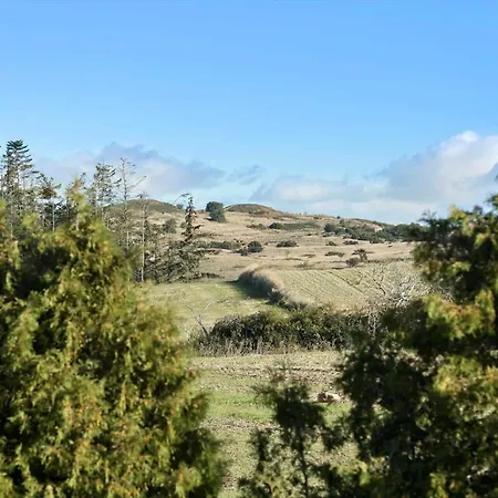 度假居 84266-knebel-toplaerkevej-1 克内贝尔